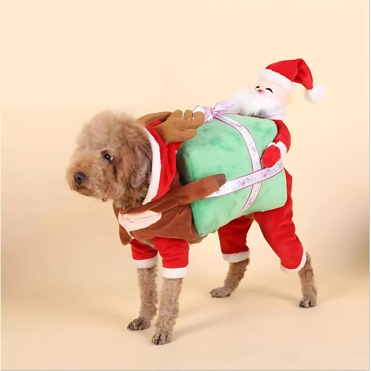 Dog Rider Costume — Santa with a Gift