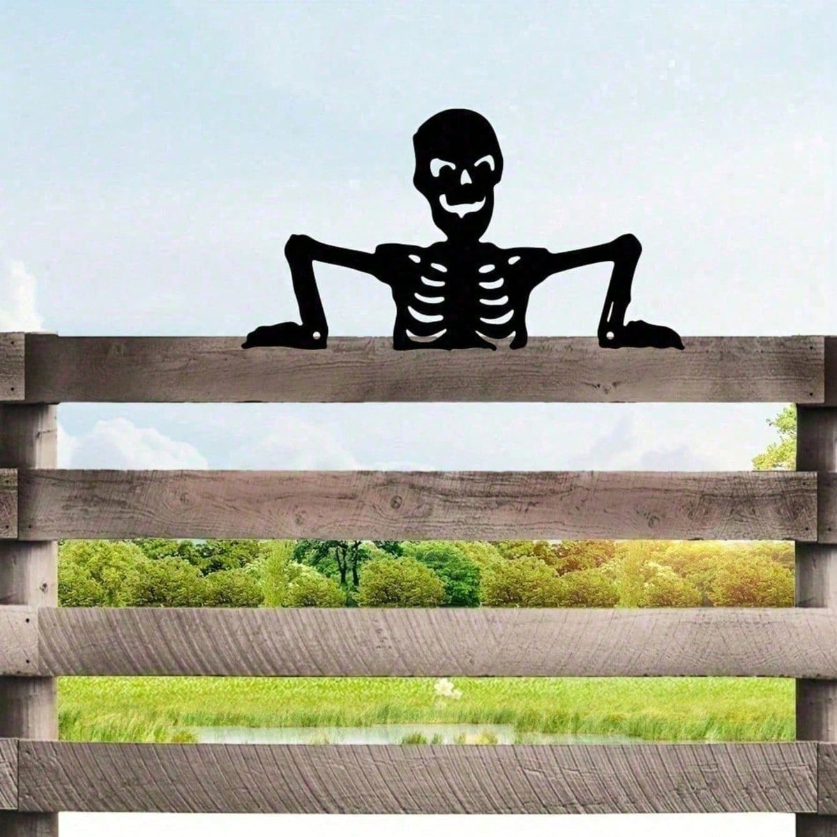 Wrought Iron Skull Wall Plaque